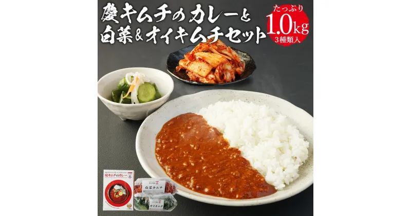 【ふるさと納税】「慶」キムチのカレーと白菜＆オイキムチセット | 神奈川県 川崎市 神奈川 川崎 支援 支援品 楽天ふるさと 納税 キムチ きむち キムチセット お土産 お取り寄せ 取り寄せ ご当地 グルメ 名産品 特産品 ご飯のお供 ごはんのおとも ごはんのお供 ご飯のおとも