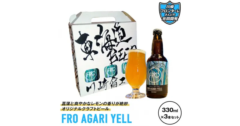 【ふるさと納税】川崎フロンターレさんとの共同開発「FRO AGARI YELL」3本セット | 楽天ふるさと 納税 神奈川県 神奈川 川崎 川崎市 支援 お礼の品 返礼品 特産品 名産品 ご当地 名産 ビール 酒 お酒 クラフトビール アルコール飲料 ご当地ビール お取り寄せ 飲み物 地ビール