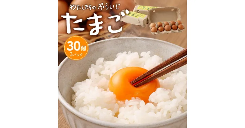 【ふるさと納税】単なる平飼いではない究極の卵『わたしたちのぷらいどたまご』3パック（30個）セット | たまご 卵 セット