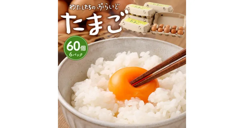 【ふるさと納税】単なる平飼いではない究極の卵『わたしたちのぷらいどたまご』6パック（60個）セット | たまご 卵 セット