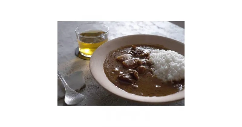 【ふるさと納税】君に届けるカレー　10個 | 食品 加工食品 人気 おすすめ 送料無料