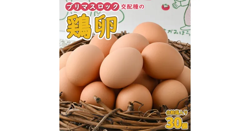 【ふるさと納税】鶏卵　プリマスロック（交配種）の卵　化粧箱入り30個