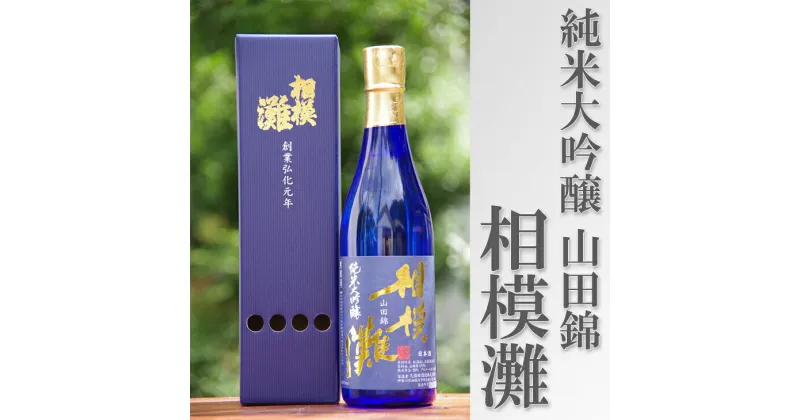 【ふるさと納税】日本酒 相模灘 純米大吟醸　720ml◇