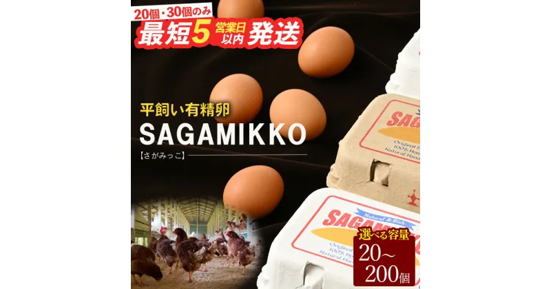 【ふるさと納税】《かながわブランド認定》平飼い有精卵さがみっこ | 神奈川県相模原市産 たまご 卵 鶏卵 玉子 たまご 生卵 平飼い ケージフリー 有精卵 国産 濃厚 コク 旨味 卵焼き たまごかけご飯 ※離島への配送不可