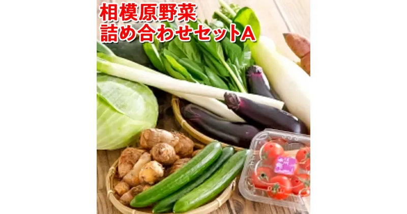 【ふるさと納税】相模原野菜詰め合わせセットA※着日指定不可