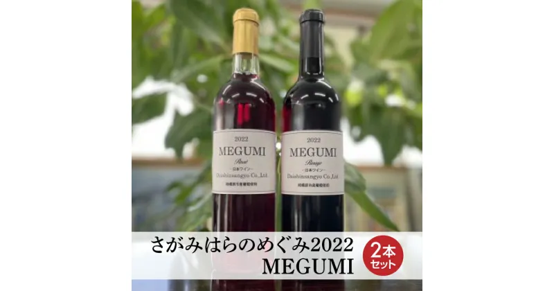 【ふるさと納税】【さがみはらのめぐみ】2022　MEGUMI　2本セット※離島への配送不可