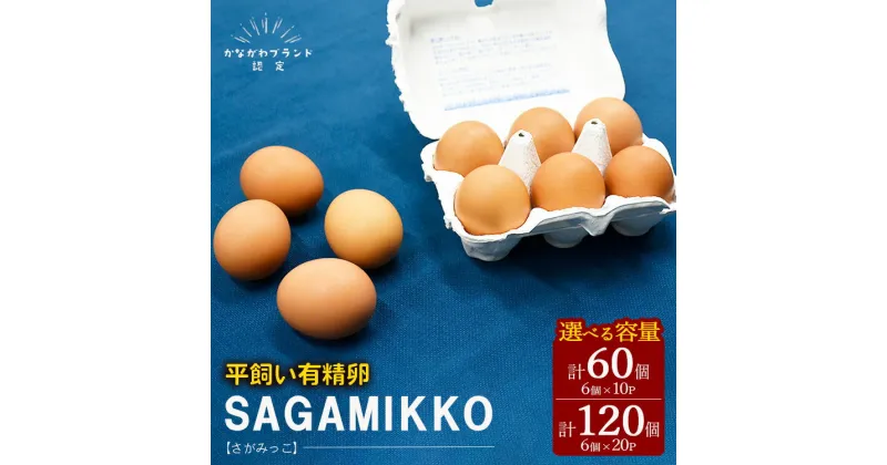 【ふるさと納税】《かながわブランド認定》平飼い有精卵さがみっこ 6個入り | 平飼い ケージフリー 卵 有精卵 鶏卵 玉子 たまご 生卵 国産 濃厚 コク 旨味 ※離島への配送不可