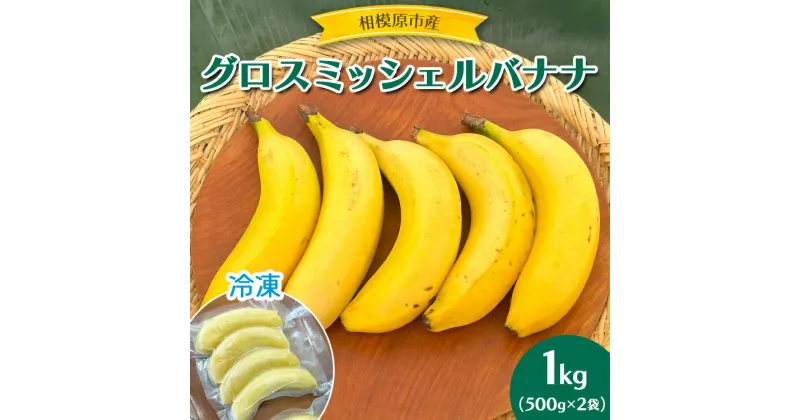 【ふるさと納税】相模原産 グロスミッシェルバナナ　冷凍　1kg（500g×2袋）