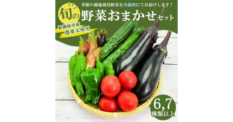 【ふるさと納税】農薬不使用・野菜おまかせセット　※離島への配送不可