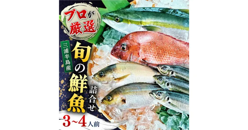 【ふるさと納税】魚 旬のおまかせ 鮮魚 厳選詰め合わせセット 3〜4人前(2〜3魚種) 新鮮 さかな お魚 水産物 食べ比べ 季節 旬 横須賀 【長井水産株式会社】[AKAJ002]