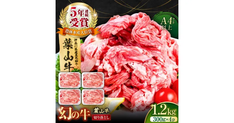 【ふるさと納税】葉山牛 切り落とし300g×4パック 計1.2kg 小分け 便利 切り落とし 牛肉 横須賀【株式会社羽根】[AKAG003]