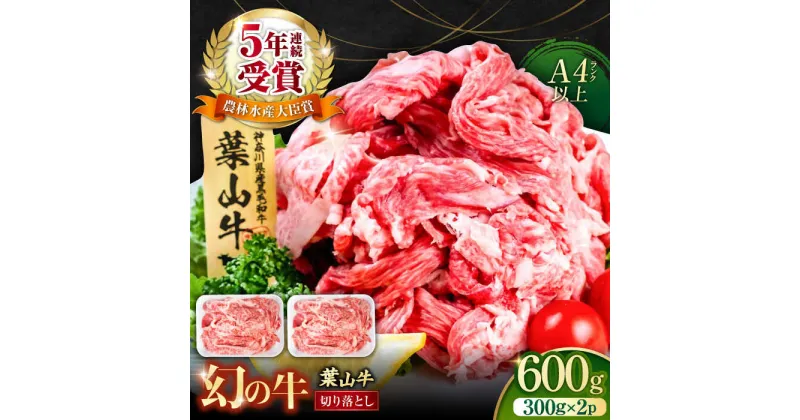 【ふるさと納税】葉山牛 切り落とし300g×2パック 計600g 小分け 便利 切り落とし 牛肉 横須賀 【株式会社羽根】[AKAG001]