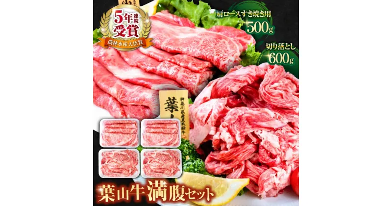 【ふるさと納税】葉山牛満腹セット（肩ロースすき焼用250g×2＋切落し300g×2）計1.1kg切り落とし すきやき 食べ比べ【株式会社羽根】[AKAG006]