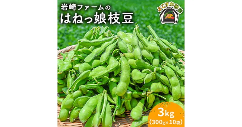 【ふるさと納税】【先行予約】【数量限定】はねっ娘枝豆 3kg（300g×10袋）【有限会社岩崎ファーム】[AKCZ002]