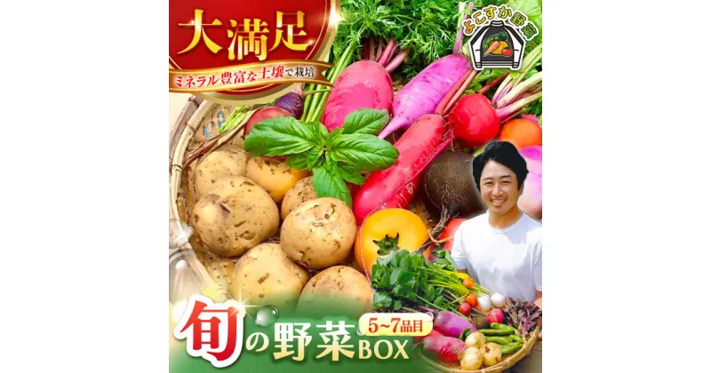 【ふるさと納税】すずなり採れたて野菜BOX（5〜7品目）野菜セット 詰め合わせ 季節野菜 やさい 産地直送 旬 新鮮【鈴也ファーム】[AKCE001] 8000円 8千円