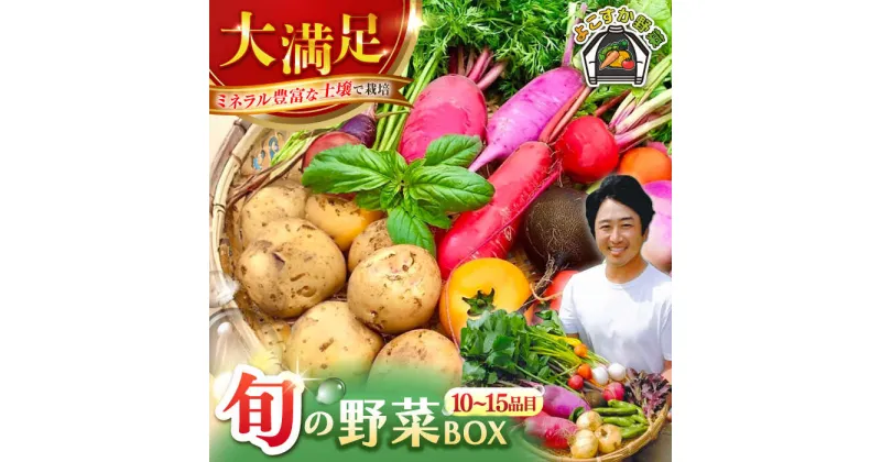 【ふるさと納税】【先行予約】すずなり採れたて野菜BOX（10〜15品目）野菜セット 詰め合わせ 季節野菜 やさい 産地直送 旬 新鮮 定期【鈴也ファーム】[AKCE002]