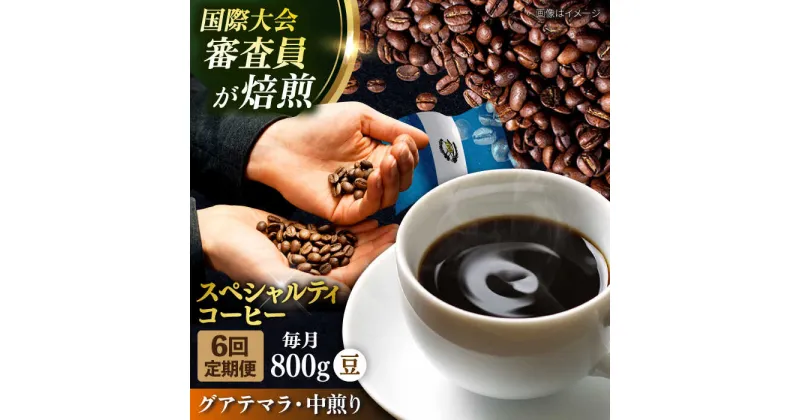 【ふるさと納税】【定期便6ヶ月】コーヒー豆 自家焙煎 中煎り グアテマラ 200g×4【株式会社RUINS】[AKAD014]