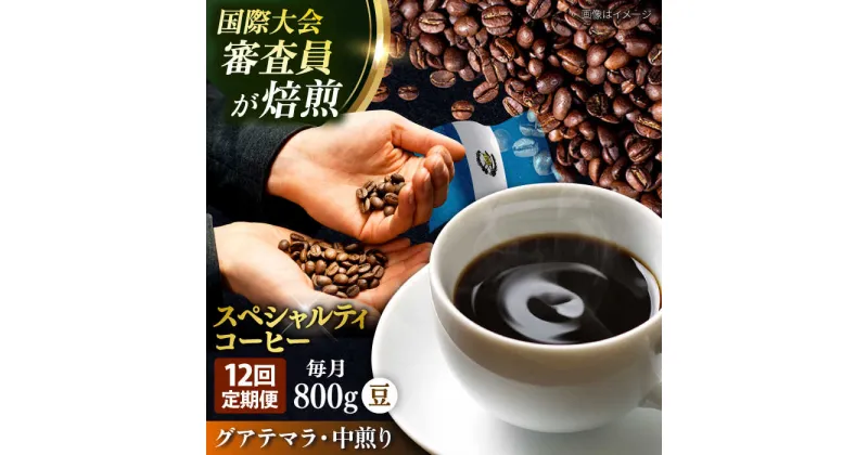 【ふるさと納税】【定期便12ヶ月】コーヒー豆 自家焙煎 中煎り グアテマラ 200g×4【株式会社RUINS】[AKAD015]