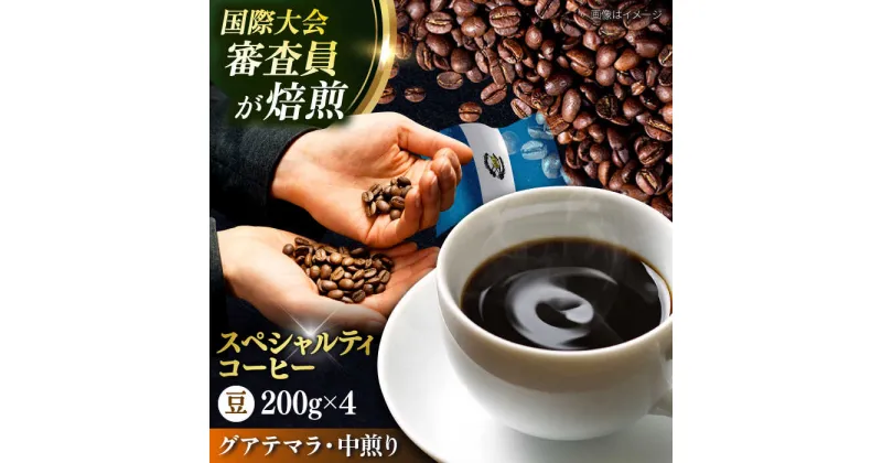 【ふるさと納税】コーヒー豆 お試し 自家焙煎 中煎り グアテマラ 200g×4【株式会社RUINS】[AKAD036]