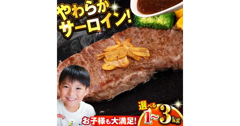 【ふるさと納税】【選べる容量】訳あり サーロインステーキ 牛肉 1kg〜3kg ジューシー やわらか 人気【コロワイドMD神奈川工場】訳アリ 不揃い 肉 ギフト 冷凍 バーベキュー BBQ キャンプ アウトドア インジェクション 牛 サーロイン ステーキ 大容量 たっぷり [AKAH005]