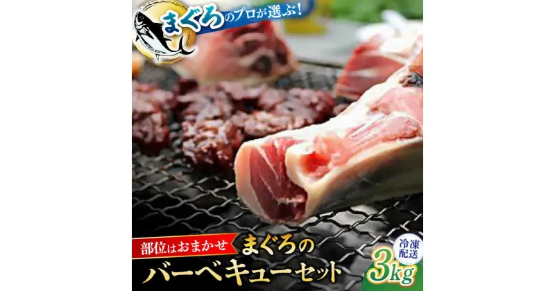 【ふるさと納税】まぐろ おまかせ バーベキュー セット 約3kg プロ 厳選 希少【横須賀商工会議所 おもてなしギフト事務局（本まぐろ直売所）】メバチマグロ 目鉢まぐろ メバチ 目鉢 マグロ 鮪 カマ ホホ ハーモニカ BBQ 冷凍 大容量 たっぷり 食べ比べ [AKAK004]