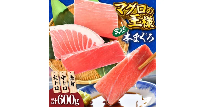 【ふるさと納税】天然 本まぐろ 大トロ・中トロ・赤身 約200g×3柵 約600g【横須賀商工会議所 おもてなしギフト事務局（本まぐろ直売所）】天然まぐろ まぐろ マグロ 鮪 クロマグロ 本マグロ 大とろ 中とろ とろ トロ 赤身 柵 ギフト 寿司 食べ比べ 最高級 [AKAK018]