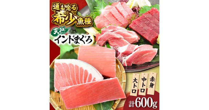 【ふるさと納税】天然 まぐろ 大トロ・中トロ・赤身 約200g×3柵 約600g【横須賀商工会議所 おもてなしギフト事務局（本まぐろ直売所）】天然まぐろ まぐろ マグロ 鮪 ミナミマグロ インドマグロ 大とろ 中とろ とろ トロ 赤身 柵 ギフト 寿司 食べ比べ 希少 [AKAK020]