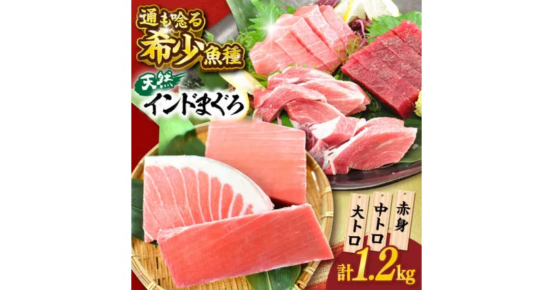 【ふるさと納税】天然 まぐろ 大トロ・中トロ・赤身 約200g×6柵 約1200g【横須賀商工会議所 おもてなしギフト事務局（本まぐろ直売所）】天然まぐろ まぐろ マグロ 鮪 ミナミマグロ インドマグロ 大とろ 中とろ とろ トロ 赤身 柵 ギフト 食べ比べ 希少 約1.2kg [AKAK021]