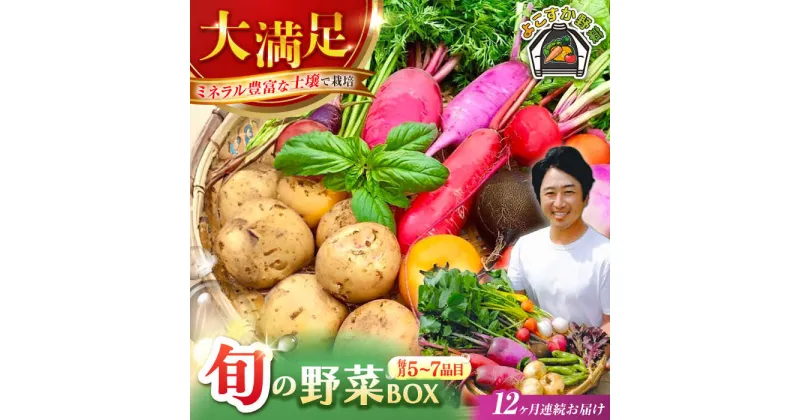 【ふるさと納税】【全12回定期便】すずなり採れたて野菜BOX（5〜7品目）野菜セット 詰め合わせ 季節野菜 やさい 産地直送 旬 新鮮 定期【鈴也ファーム】[AKCE004]