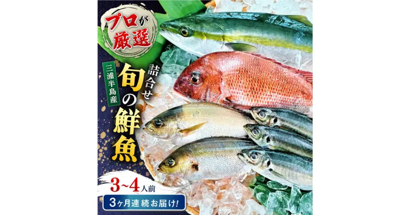 【ふるさと納税】【全3回定期便】旬のおまかせ 厳選鮮魚セット 3〜4人前(2〜3魚種) 【長井水産株式会社】[AKAJ015]