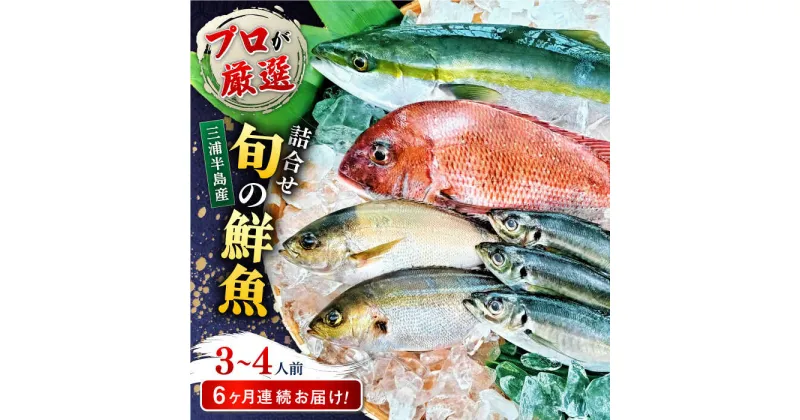 【ふるさと納税】【全6回定期便】旬のおまかせ 厳選鮮魚セット 3〜4人前(2〜3魚種) 【長井水産株式会社】[AKAJ016]