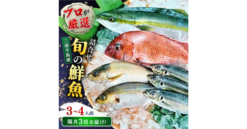 【ふるさと納税】【全3回 隔月 定期便】旬のおまかせ 厳選鮮魚セット 3〜4人前(2〜3魚種) 【長井水産株式会社】[AKAJ017]