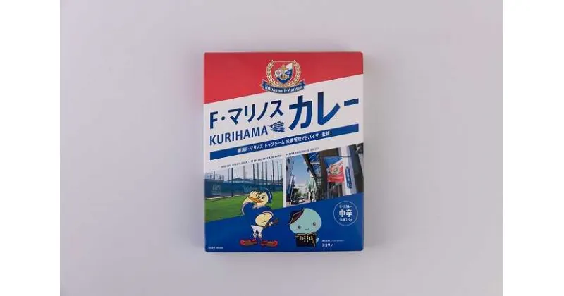 【ふるさと納税】F・マリノスKURIHAMAカレー 220g×10個セット【久里浜商店会協同組合】[AKCA002]