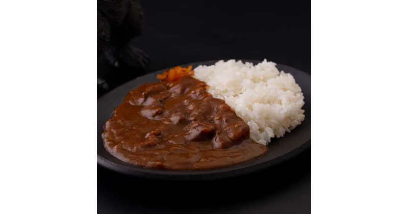 【ふるさと納税】YOKOSUKAゴジラカレー 200g×12個セット 辛口【株式会社フジコー】[AKCT002]