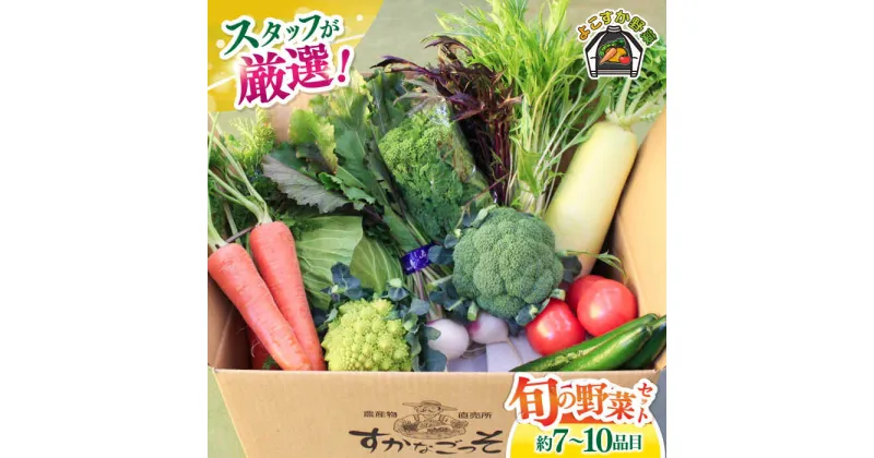 【ふるさと納税】よこすか野菜セット すかなボックス 野菜 季節野菜 詰め合わせ 産地直送 旬 厳選 農産物 神奈川 横須賀【JAよこすか葉山】[AKFO001]