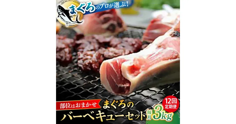 【ふるさと納税】【全12回定期便】まぐろ おまかせバーベキューセット 冷凍約3kg 鮪 マグロ BBQ 魚 横須賀【本まぐろ直売所】[AKAK034]