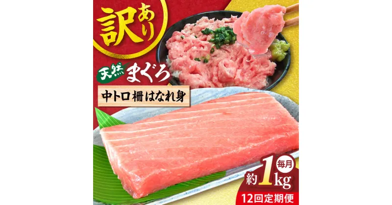 【ふるさと納税】【全12回定期便】【訳あり】天然 まぐろ 中トロ柵 はなれ身（約1kg） マグロ 定期 鮪 まぐろ 中とろ 刺身 柵 定期便 横須賀 【本まぐろ直売所】[AKAK064]