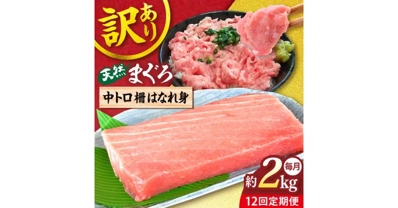 【ふるさと納税】【全12回定期便】【訳あり】天然 まぐろ 中トロ柵 はなれ身（約2kg） マグロ 定期 鮪 まぐろ 中とろ 刺身 柵 定期便 横須賀 【本まぐろ直売所】[AKAK067]