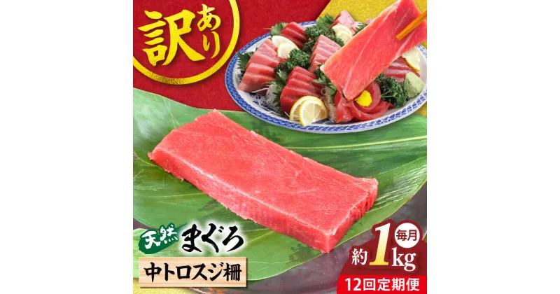 【ふるさと納税】【全12回定期便】【訳あり】天然 本まぐろ 中トロスジ柵（約1kg） マグロ 定期 鮪 まぐろ 中とろ 刺身 柵 定期便 横須賀 【本まぐろ直売所】[AKAK070]