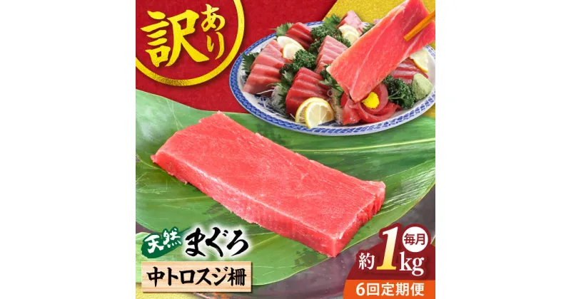 【ふるさと納税】【全6回定期便】【訳あり】天然 本まぐろ 中トロスジ柵（約1kg） マグロ 定期 鮪 まぐろ 中とろ 刺身 柵 定期便 横須賀 【本まぐろ直売所】[AKAK069]