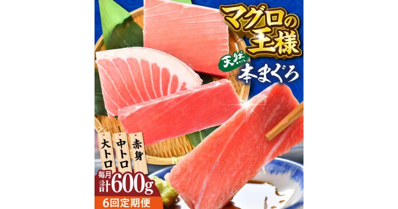 【ふるさと納税】【全6回定期便】天然 本まぐろ 大トロ・中トロ・赤身（約200g×3柵）約600g 鮪 マグロ 魚 刺身 横須賀 【本まぐろ直売所】[AKAK075]