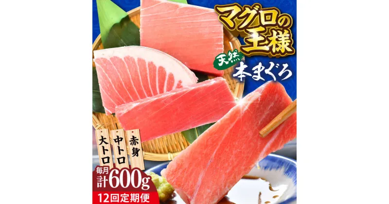 【ふるさと納税】【全12回定期便】天然 本まぐろ 大トロ・中トロ・赤身（約200g×3柵）約600g 鮪 マグロ 魚 刺身 横須賀 【本まぐろ直売所】[AKAK076]