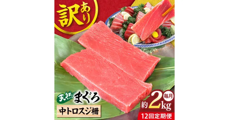 【ふるさと納税】【全12回定期便】【訳あり】天然 本まぐろ 中トロスジ柵（約2kg） マグロ 定期 鮪 まぐろ 中とろ 刺身 柵 定期便 横須賀 【本まぐろ直売所】[AKAK073]