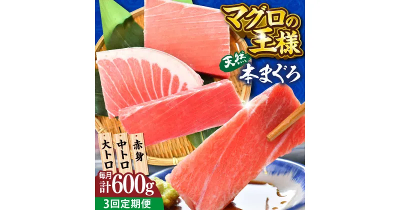 【ふるさと納税】【全3回定期便】天然 本まぐろ 大トロ・中トロ・赤身（約200g×3柵）約600g 鮪 マグロ 魚 刺身 横須賀 【本まぐろ直売所】[AKAK074]