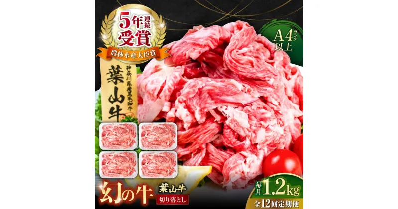 【ふるさと納税】【全12回定期便】葉山牛 切り落とし300g×4パック 計1.2kg【株式会社羽根】[AKAG035]