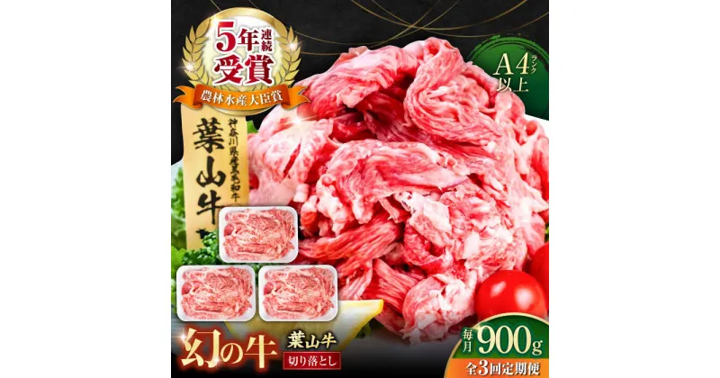 【ふるさと納税】【全3回定期便】葉山牛 切り落とし300g×3パック 計900g【株式会社羽根】[AKAG030]