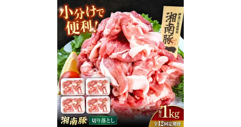 【ふるさと納税】【全12回定期便】湘南豚 切り落とし1.0kg（250g×4パック）【株式会社羽根】[AKAG047]