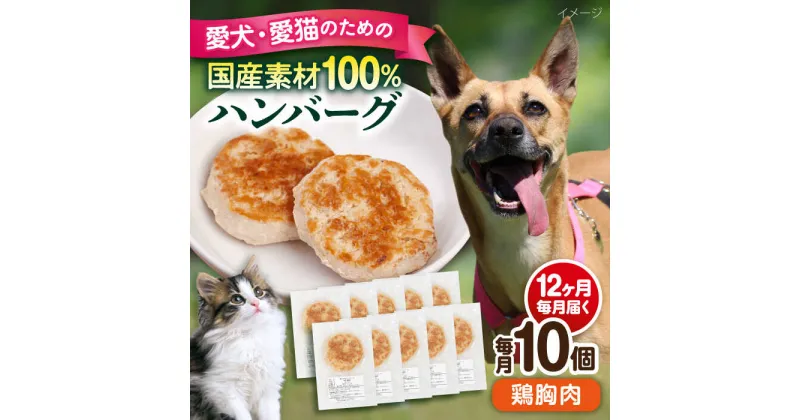 【ふるさと納税】【全12回定期便】ペットフード 鶏むね 100%ハンバーグ 10個セット ペット 愛犬 愛猫 おやつ ご褒美 ごはん 猫 犬 てづくり 国産 ドッグフード 【ペットフードYM japan】[AKEX009]