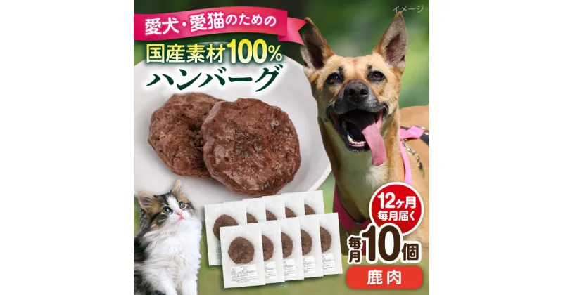 【ふるさと納税】【全12回定期便】ペットフード 鹿肉 100%ハンバーグ 10個セット ペット 愛犬 愛猫 おやつ ご褒美 ごはん 猫 犬 てづくり 国産 ドッグフード 【ペットフードYM japan】[AKEX013]