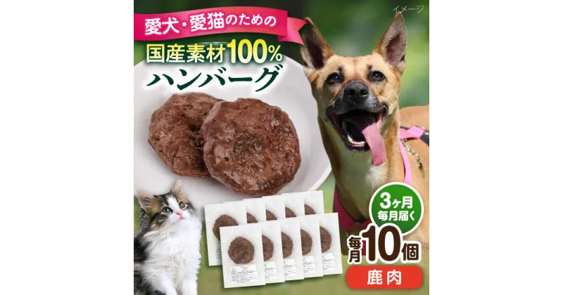 【ふるさと納税】【全3回定期便】ペットフード 鹿肉 100%ハンバーグ 10個セット ペット 愛犬 愛猫 おやつ ご褒美 ごはん 猫 犬 てづくり 国産 ドッグフード 【ペットフードYM japan】[AKEX011]